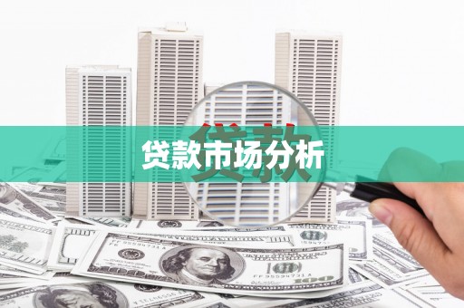 团风贷款市场分析