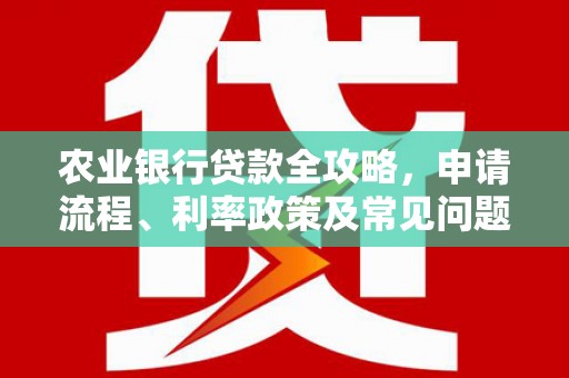 团风农业银行贷款全攻略，申请流程、利率政策及常见问题解析