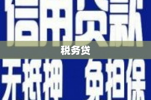 团风税务贷