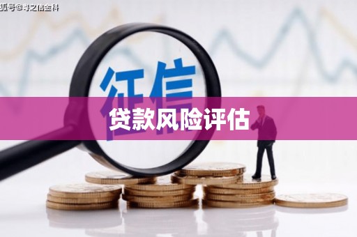 团风贷款风险评估