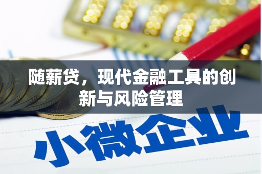 团风随薪贷，现代金融工具的创新与风险管理