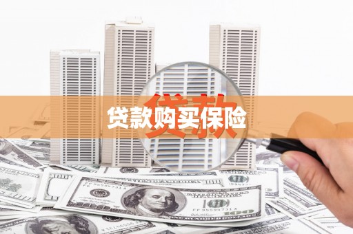 团风贷款购买保险