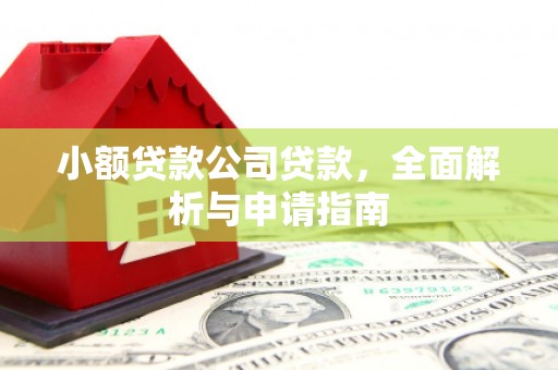 团风小额贷款公司贷款，全面解析与申请指南