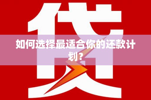 团风如何选择最适合你的还款计划？