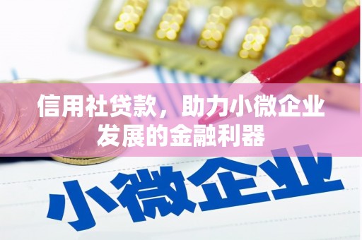 团风信用社贷款，助力小微企业发展的金融利器