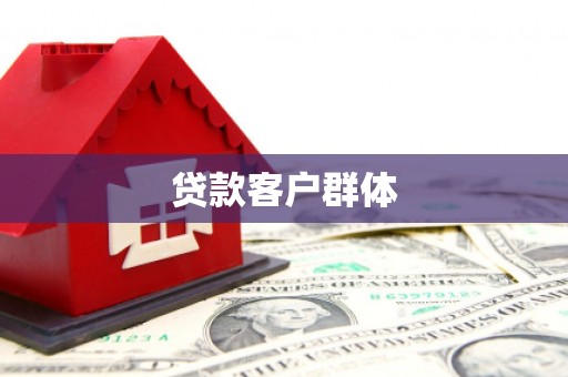 团风贷款客户群体