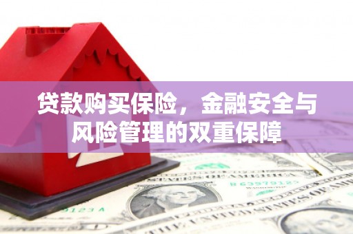 团风贷款购买保险，金融安全与风险管理的双重保障