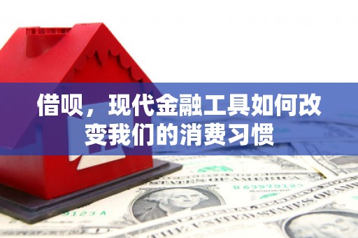 团风借呗，现代金融工具如何改变我们的消费习惯