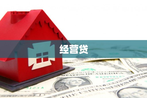 团风经营贷