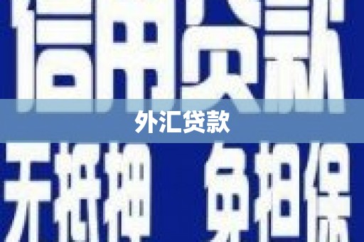 团风外汇贷款