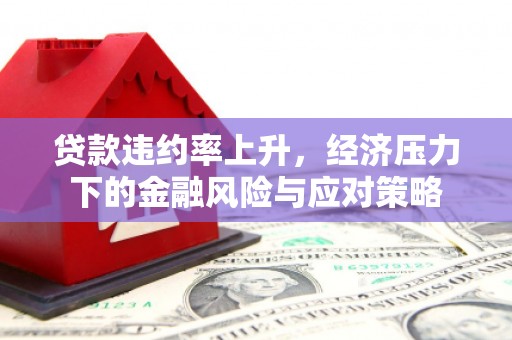团风贷款违约率上升，经济压力下的金融风险与应对策略