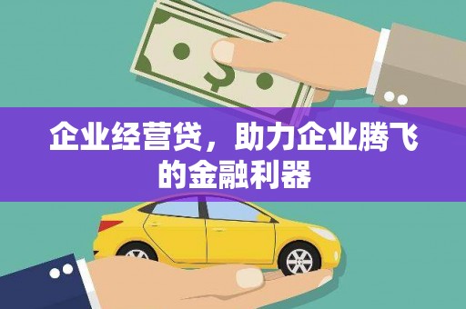 团风企业经营贷，助力企业腾飞的金融利器