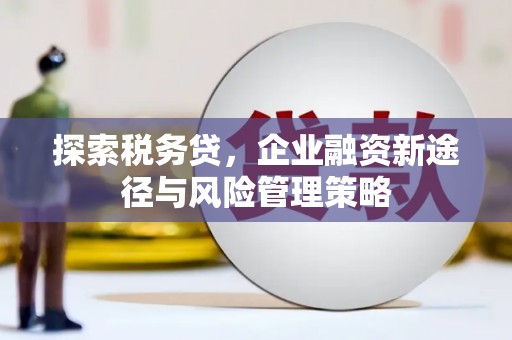团风探索税务贷，企业融资新途径与风险管理策略