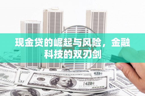 团风现金贷的崛起与风险，金融科技的双刃剑