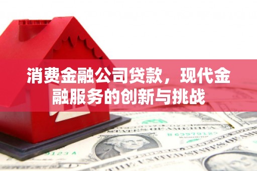 团风消费金融公司贷款，现代金融服务的创新与挑战