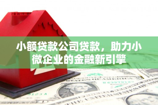 团风小额贷款公司贷款，助力小微企业的金融新引擎