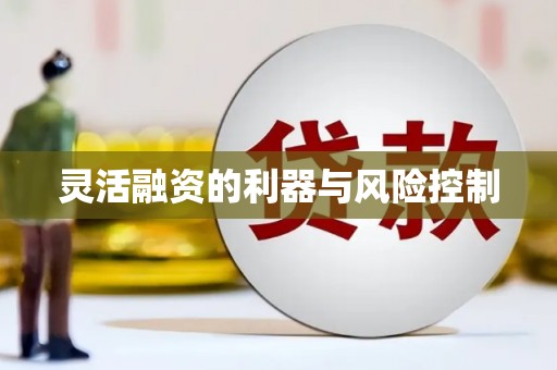 团风灵活融资的利器与风险控制