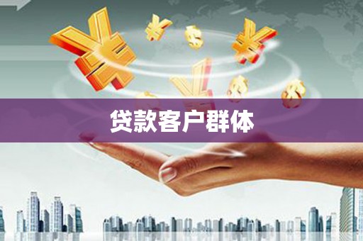 团风贷款客户群体