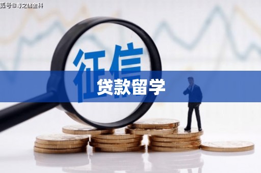 团风贷款留学