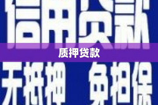 团风质押贷款
