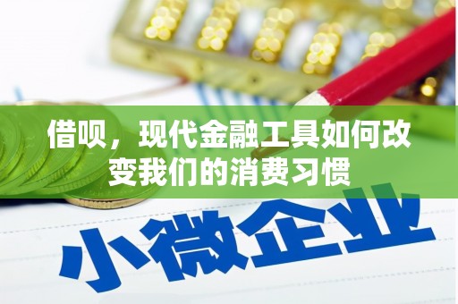 团风借呗，现代金融工具如何改变我们的消费习惯