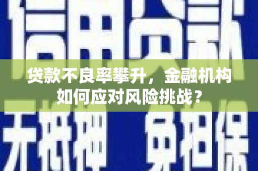 团风贷款不良率攀升，金融机构如何应对风险挑战？