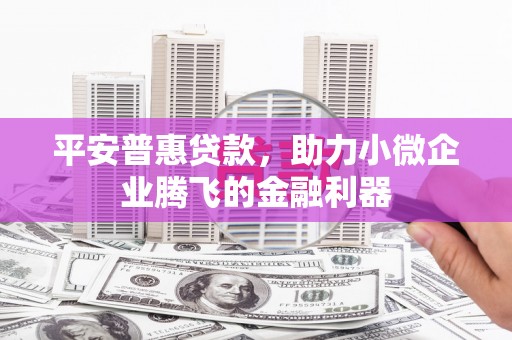 团风平安普惠贷款，助力小微企业腾飞的金融利器