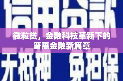 团风微粒贷，金融科技革新下的普惠金融新篇章