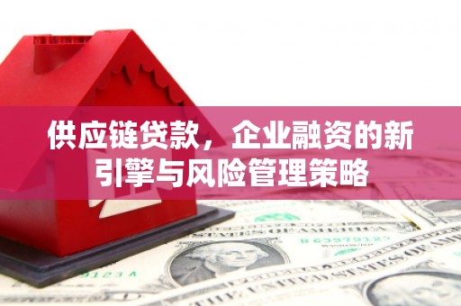 团风供应链贷款，企业融资的新引擎与风险管理策略
