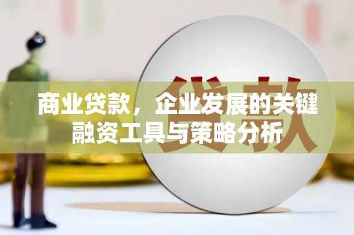 团风商业贷款，企业发展的关键融资工具与策略分析