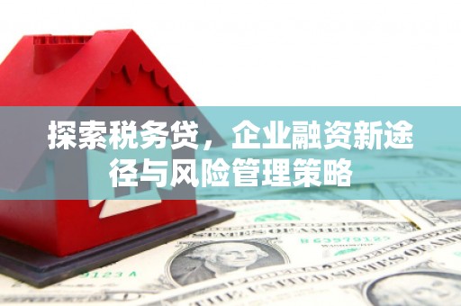 团风探索税务贷，企业融资新途径与风险管理策略