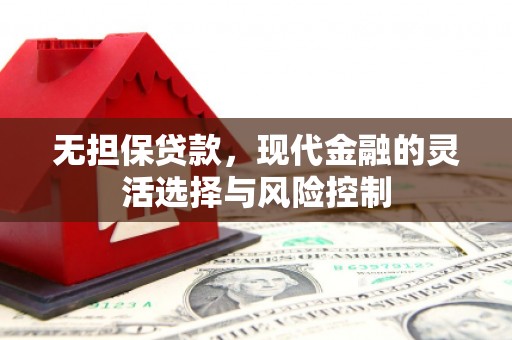 团风无担保贷款，现代金融的灵活选择与风险控制