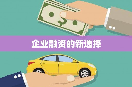 团风企业融资的新选择