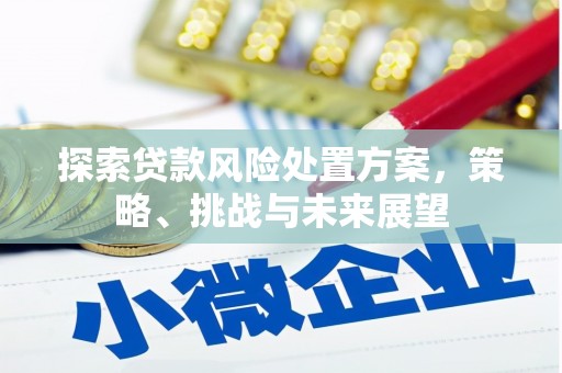 团风探索贷款风险处置方案，策略、挑战与未来展望