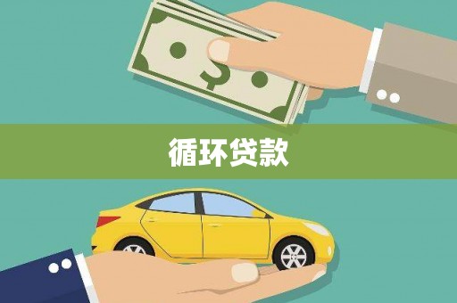 团风循环贷款