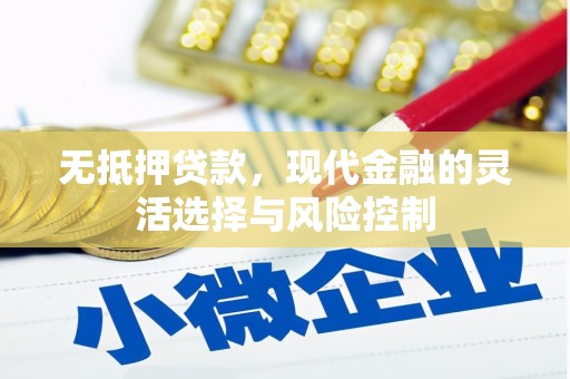 团风无抵押贷款，现代金融的灵活选择与风险控制