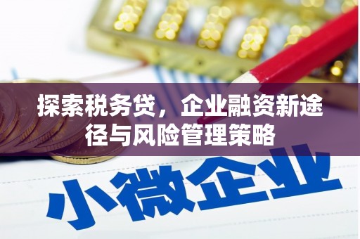 团风探索税务贷，企业融资新途径与风险管理策略