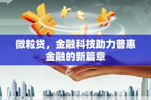 团风微粒贷，金融科技助力普惠金融的新篇章