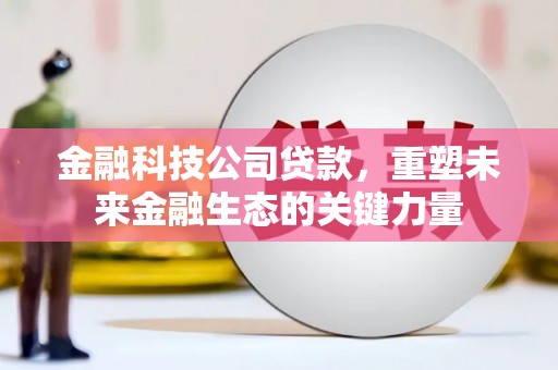 团风金融科技公司贷款，重塑未来金融生态的关键力量