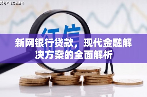 团风新网银行贷款，现代金融解决方案的全面解析