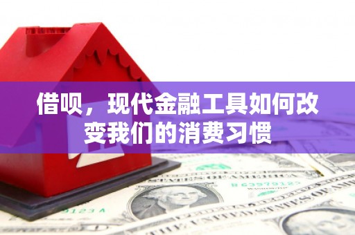 团风借呗，现代金融工具如何改变我们的消费习惯