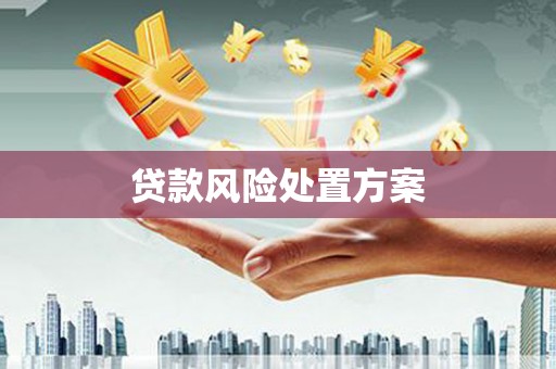团风贷款风险处置方案