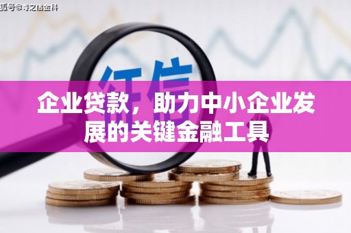 团风企业贷款，助力中小企业发展的关键金融工具
