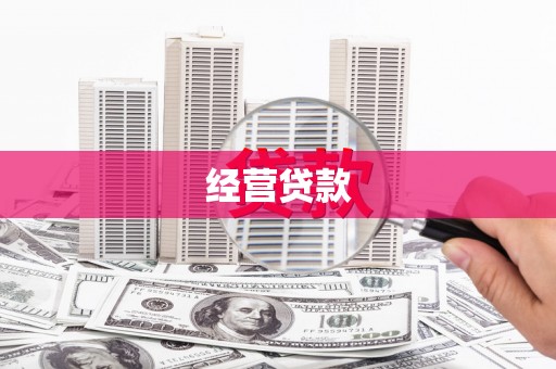 团风经营贷款