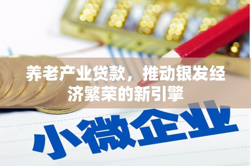 团风养老产业贷款，推动银发经济繁荣的新引擎