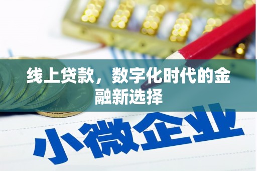 团风线上贷款，数字化时代的金融新选择