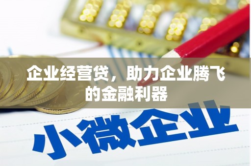 团风企业经营贷，助力企业腾飞的金融利器