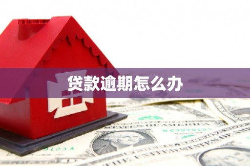 团风贷款逾期怎么办