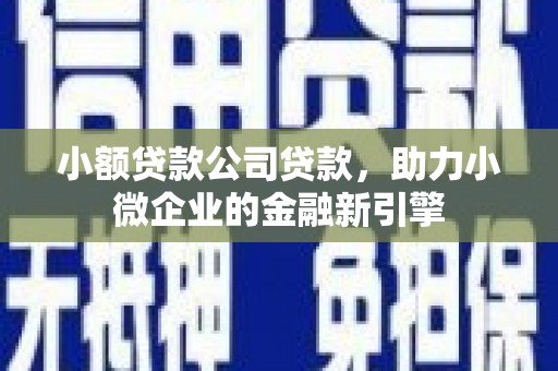 团风小额贷款公司贷款，助力小微企业的金融新引擎