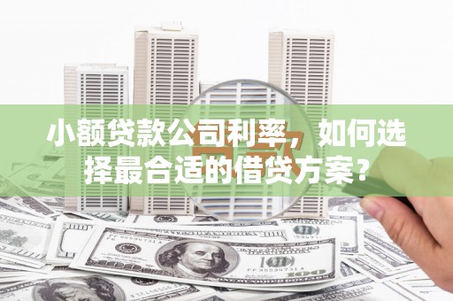 团风小额贷款公司利率，如何选择最合适的借贷方案？